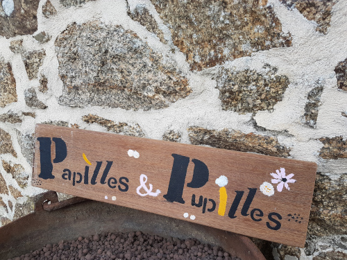 Nuit-insolite-proche-Puy-du-Fou-papilles-et-pupilles